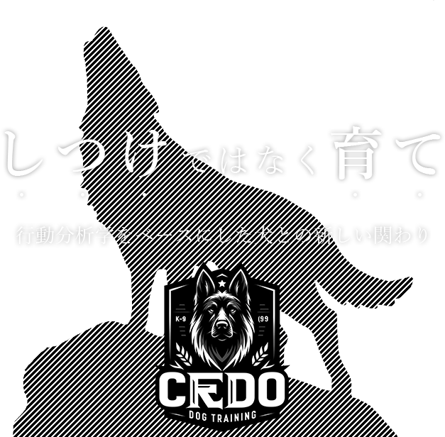 「しつけ」ではなく「育て」
